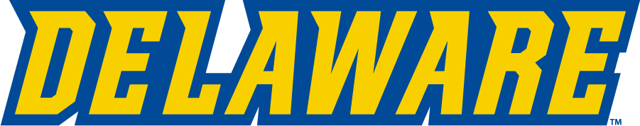 Delaware Blue Hens 2016-2018 Wordmark Logo diy DTF decal sticker